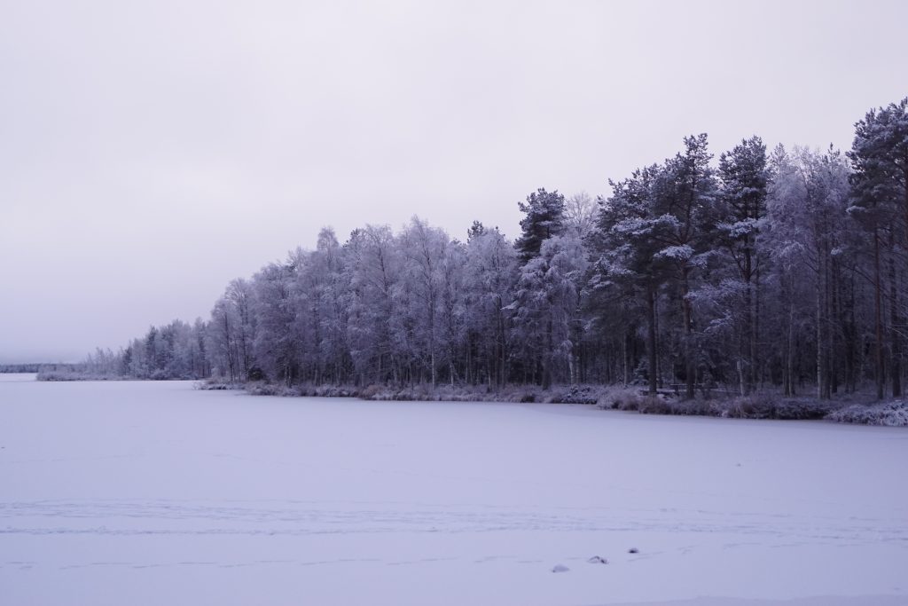 The dock of the Olkkajärvi lake