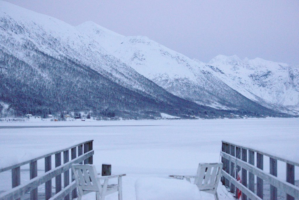 Sitting in the dock of the fjord