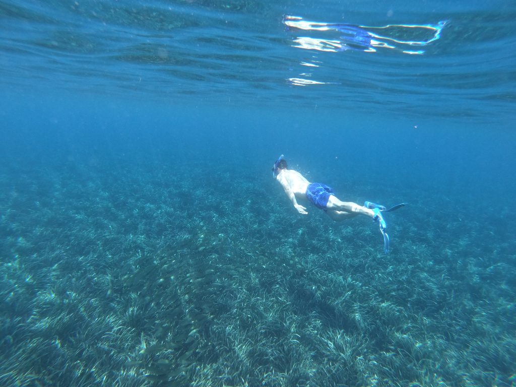 Snorkel in Aguadulce
