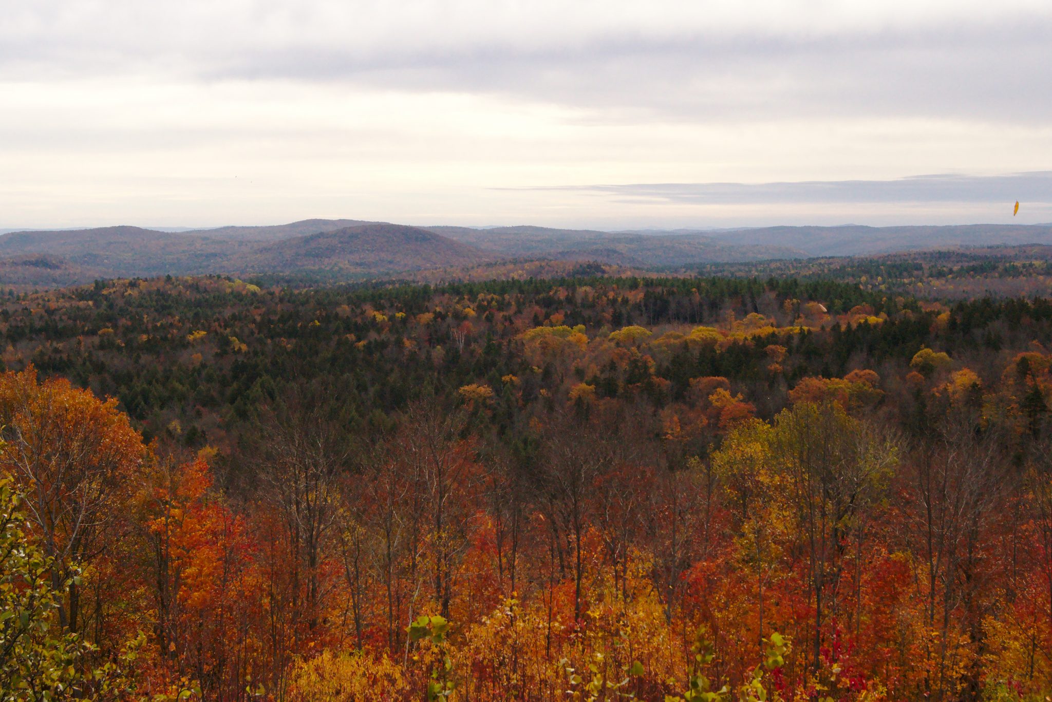 Autumn in New York (USA) – Part II